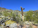photo thumbnail #12