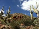 photo thumbnail #1