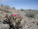 photo thumbnail #7