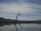 photo thumbnail #9