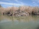 photo thumbnail #12