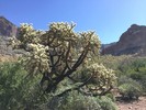 photo thumbnail #3