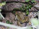 photo thumbnail #14