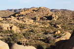 photo thumbnail #3