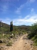 photo thumbnail #9