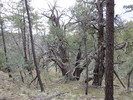 photo thumbnail #8