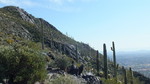 photo thumbnail #5