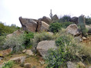 photo thumbnail #5