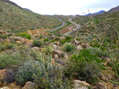 photo thumbnail #8