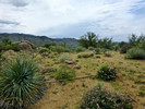 photo thumbnail #11
