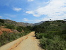 photo thumbnail #2