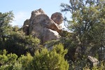 photo thumbnail #2