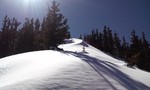 photo thumbnail #6