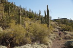 photo thumbnail #8