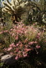 photo thumbnail #14