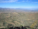 photo thumbnail #9