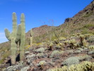 photo thumbnail #11