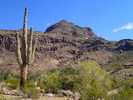 photo thumbnail #13