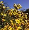 photo thumbnail #15