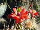 photo thumbnail #3