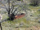 photo thumbnail #6