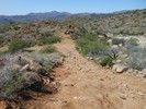 photo thumbnail #8