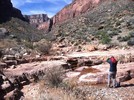 photo thumbnail #15
