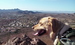 photo thumbnail #6