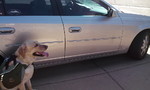photo thumbnail #7