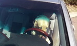 photo thumbnail #9