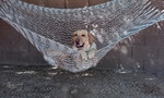 photo thumbnail #13