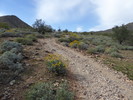 photo thumbnail #3