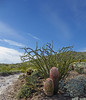 photo thumbnail #5