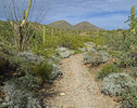 photo thumbnail #7
