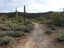 photo thumbnail #14