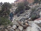 photo thumbnail #2