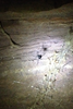 photo thumbnail #15