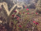 photo thumbnail #4