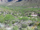 photo thumbnail #14
