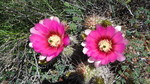 photo thumbnail #5