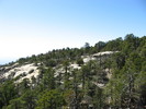photo thumbnail #14