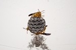 photo thumbnail #2