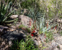 photo thumbnail #7