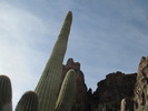 photo thumbnail #13