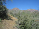 photo thumbnail #6