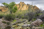 photo thumbnail #9