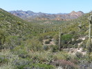 photo thumbnail #14