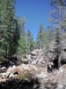 photo thumbnail #5