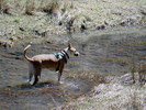 photo thumbnail #8