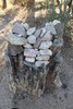 photo thumbnail #5